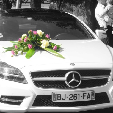 Mjmphotos