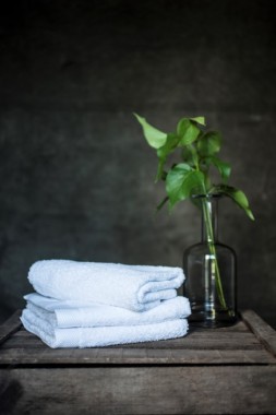Jelena Kostich for Rosenserien