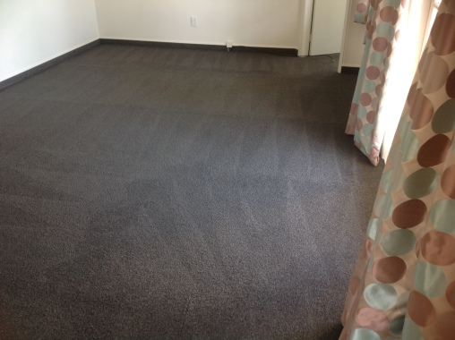 Carpet cleaning