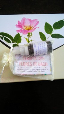  Preparación realizada luego de la consulta floral 