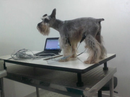 Estudios a domicilio
