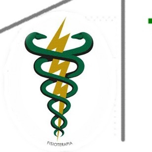 Fisioterapia Domiciliar