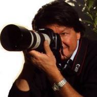 Ap Shooting