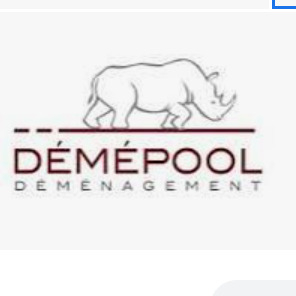 Demepool Sa