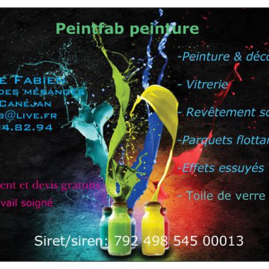 Peintfab Peinture (Entreprise Individuelle)