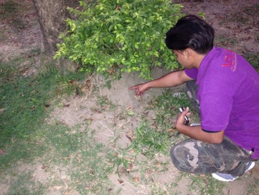 Malakai technician pointing termite mound.