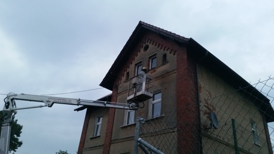 Usuwanie gniazd os i szerszeni