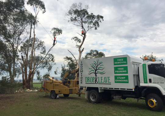 A fleet of machinery and top-of-the-range equipment to conduct your tree work safely and efficiently, including 3 trucks, 2 chippers and a stump grinder.