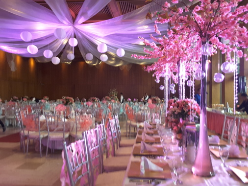 Elegant reception