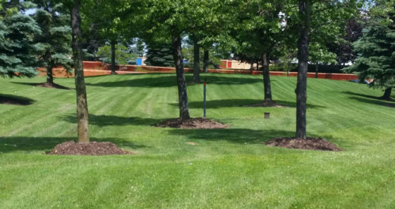 First impressions are everything and your landscaping is front and centre. Allow us to maintain your property and present your visitors with a tidy, well manicured impression.