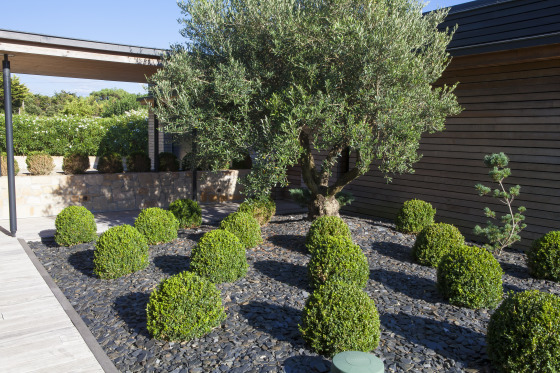 PLANTATION 
DESIGN VEGETAL