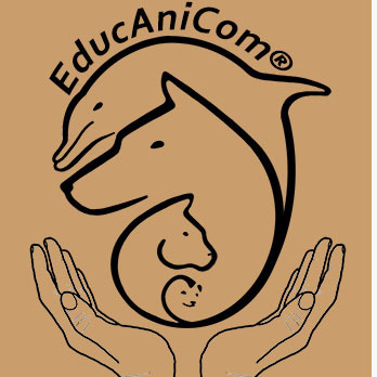 Educanicom
