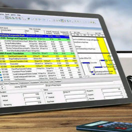 Project Palling And Scheduling, Primavera
