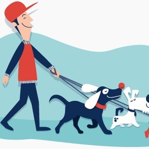 Paseador Y Cuidador De Perros