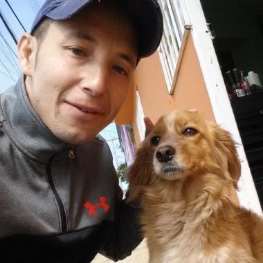 Peeseador De Mascotas A Domicilio