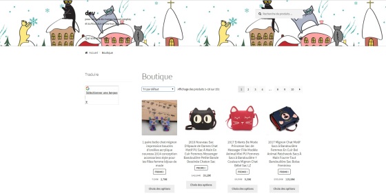 Boutique en cours de développement sous Wordpress