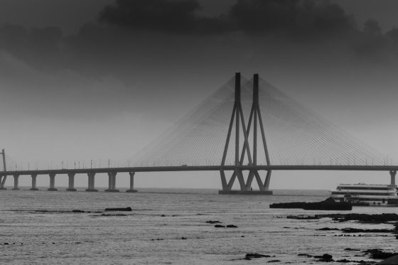 sealink (1 of 1).jpg