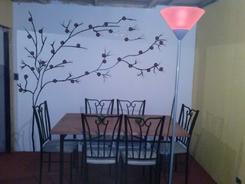 pinturas diseños y decoracion