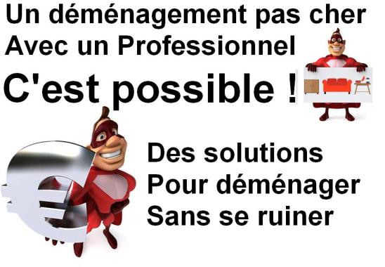 Le déménagement exige un minimum d’organisation.
Emballer, charger, transporter et déballer tout votre mobilier ne s'improvise pas !

Alors n’hésitez pas à faire appel et confiance à un professionnel du déménagement pour déménager en toute sérénité.

30 ans d'expérience professionnelle, un savoir-faire d'expert

Service de Qualité & Intervention rapide ! à petit prix

Maîtrise du portage de charges lourdes
Piano - coffre-fort - Manutention lourde

Votre Déménagement le week-end & Jours fériés 
c'est Pas Plus Cher ! 

Pour plus d'informations veuillez me contacter
TEL : 06.65.47.67.34