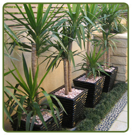 Green Garden Center