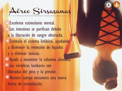 Posturas en inversión