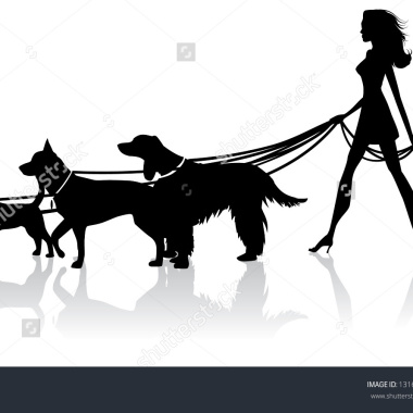 Je Promène Vos Chiens À Petit Prix 