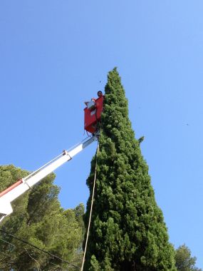abattage à la nacelle