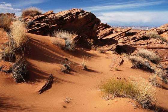 desert.jpg