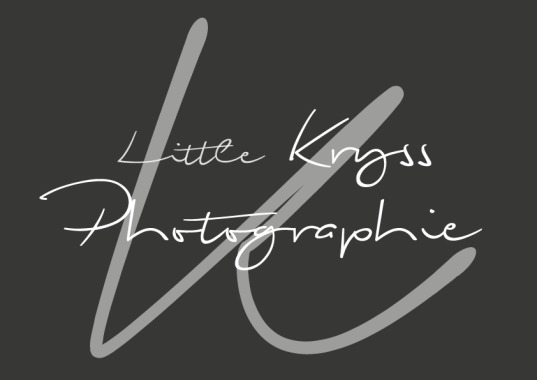 Little Kryss Photographie