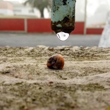 Lúcio Sava Fotografia