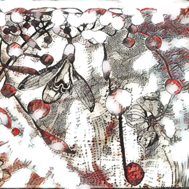 Cerezos