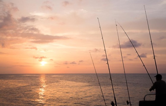 Atardecer