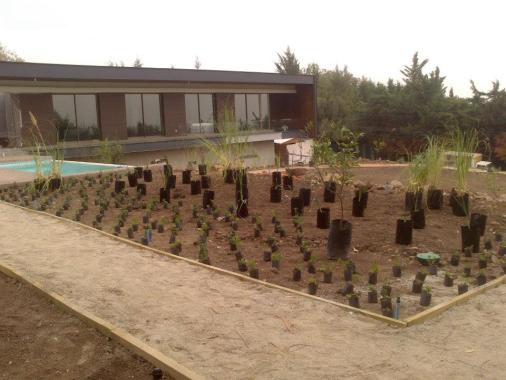 trabajo de paisajismo con distintas especies de plantas