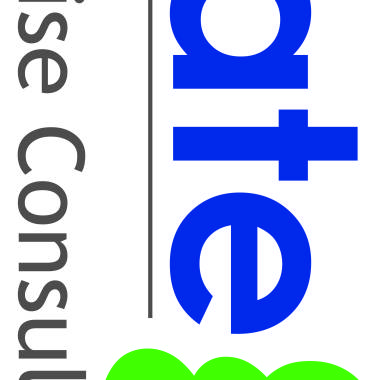 Strategizer Franchise Consulting Services 
