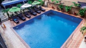Swimming Pool Construction
