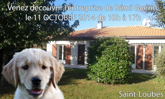Rémi Guérin Éducateur Canin Comportementaliste Pour Chien