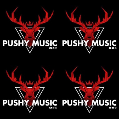 Pushy Music