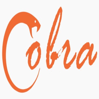 Cobra Tecnologia