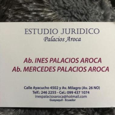 Ines Palacios