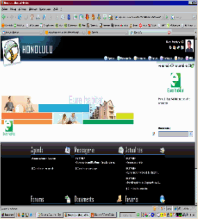Création d'un site intranet entreprise (sous WebDev) liant la personnalisation des accès aux outils, aux news, aux alertes et tableaux de bord.
