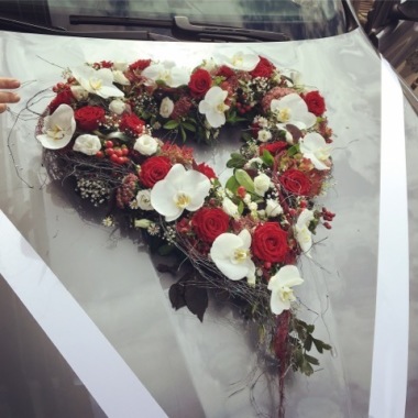 Ombellifère-Fleuriste