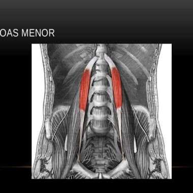 Entrenamiento Personal