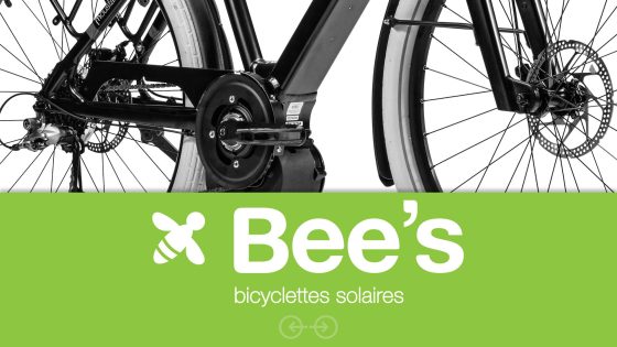 Site Bees  1