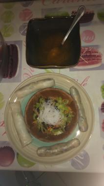 nems et rouleaux de primtemps