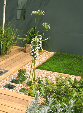 Création d'un petit jardin de ville