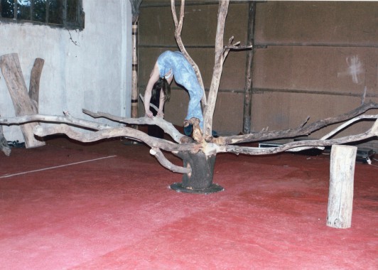 Photo_Création pour Vincent Lajarige , contorsion sur un arbre .