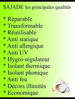 Quelques qualités essentielles de cette technique unique en France