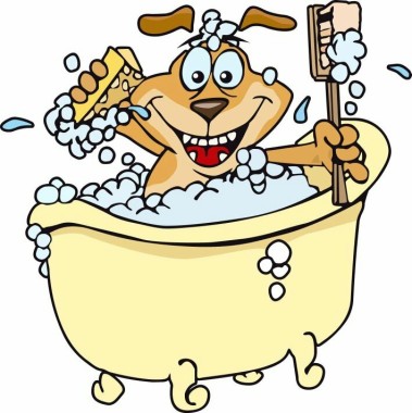 Neil'S Dogwash
