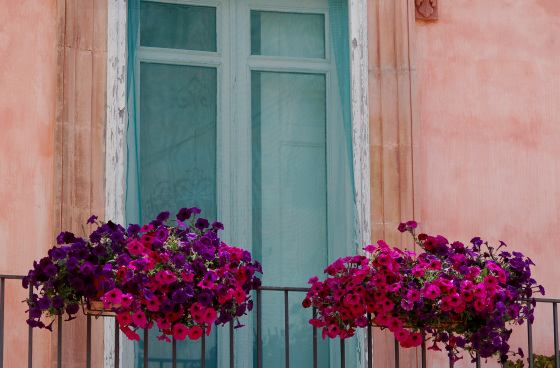 fiori2 (1).jpg