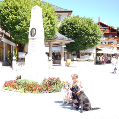 Www.Teamspiel-Hund.De